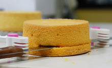 2 PC. Cake Leveler