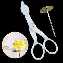 Two-piece Cake Decorating Set